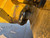 https://api.rdoequipment.com/api/EquipmentImage?imgID=22348293&filename=15_1to850lxhpf438609---15.jpg