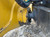 https://api.rdoequipment.com/api/EquipmentImage?imgID=22043003&filename=15_Z016831---15.jpg