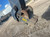 https://api.rdoequipment.com/api/EquipmentImage?imgID=21866550&filename=16_Z029140---16.jpg
