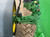 https://api.rdoequipment.com/api/EquipmentImage?imgID=21856683&filename=9_Z105158---09.jpg