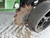 https://api.rdoequipment.com/api/EquipmentImage?imgID=21927640&filename=22_Z171345---23.jpg