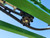 https://api.rdoequipment.com/api/EquipmentImage?imgID=21400358&filename=37_1N0410RXPR0252071---49.jpg
