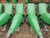 https://api.rdoequipment.com/api/EquipmentImage?imgID=22616727&filename=22_1H0C18RXCN0825004---22.jpg