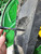 https://api.rdoequipment.com/api/EquipmentImage?imgID=22181264&filename=30_Z208126---30.jpg