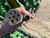 https://api.rdoequipment.com/api/EquipmentImage?imgID=21474177&filename=13_Z208615---13.jpg