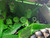 https://api.rdoequipment.com/api/EquipmentImage?imgID=22938471&filename=28_Z217321---28.jpg