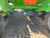 https://api.rdoequipment.com/api/EquipmentImage?imgID=22740541&filename=24_Z218309---24.jpg