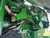 https://api.rdoequipment.com/api/EquipmentImage?imgID=23551933&filename=15_Z219033---15.jpg