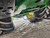 https://api.rdoequipment.com/api/EquipmentImage?imgID=22269417&filename=11_Z228102---11.jpg