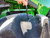 https://api.rdoequipment.com/api/EquipmentImage?imgID=23027516&filename=38_1H0S780SCST835353---38.jpg