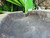 https://api.rdoequipment.com/api/EquipmentImage?imgID=23814716&filename=38_Z237558---38.jpg