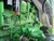 https://api.rdoequipment.com/api/EquipmentImage?imgID=23917203&filename=22_Z277138---22.jpg