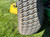 https://api.rdoequipment.com/api/EquipmentImage?imgID=24126682&filename=24_Z28286---24.jpg
