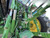 https://api.rdoequipment.com/api/EquipmentImage?imgID=24045398&filename=8_D888650_09.jpg