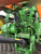 https://api.rdoequipment.com/api/EquipmentImage?imgID=24058923&filename=29_D891618_30.jpg