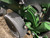 https://api.rdoequipment.com/api/EquipmentImage?imgID=24048107&filename=11_D887459_11.jpg