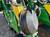 https://api.rdoequipment.com/api/EquipmentImage?imgID=24296910&filename=24_D890953---25.jpg