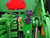 https://api.rdoequipment.com/api/EquipmentImage?imgID=24302308&filename=17_D887224---17.jpg
