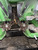 https://api.rdoequipment.com/api/EquipmentImage?imgID=24058084&filename=22_D891451_22.jpg