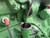 https://api.rdoequipment.com/api/EquipmentImage?imgID=24045820&filename=9_D892055_16.jpg