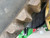 https://api.rdoequipment.com/api/EquipmentImage?imgID=24318660&filename=31_D887893---32.jpg