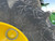 https://api.rdoequipment.com/api/EquipmentImage?imgID=22616891&filename=32_Z197962---32.jpg