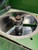 https://api.rdoequipment.com/api/EquipmentImage?imgID=24005676&filename=9_dc5733e0-97d1-4573-b093-224fe4d338ad.jpg