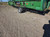 https://api.rdoequipment.com/api/EquipmentImage?imgID=24584908&filename=3_Z283802---03.jpg