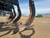 https://api.rdoequipment.com/api/EquipmentImage?imgID=24223205&filename=19_Z287017---19.jpg