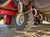 https://api.rdoequipment.com/api/EquipmentImage?imgID=24438198&filename=12_Z287509---12.jpg