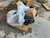 https://api.rdoequipment.com/api/EquipmentImage?imgID=24410312&filename=3_IMG_7965.jpg