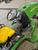 https://api.rdoequipment.com/api/EquipmentImage?imgID=24410808&filename=7_IMG_1559.jpg
