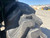 https://api.rdoequipment.com/api/EquipmentImage?imgID=24525525&filename=26_Z219536---32.jpg