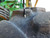 https://api.rdoequipment.com/api/EquipmentImage?imgID=24623208&filename=19_Z271329---19.jpg