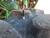 https://api.rdoequipment.com/api/EquipmentImage?imgID=24623202&filename=13_Z271329---13.jpg