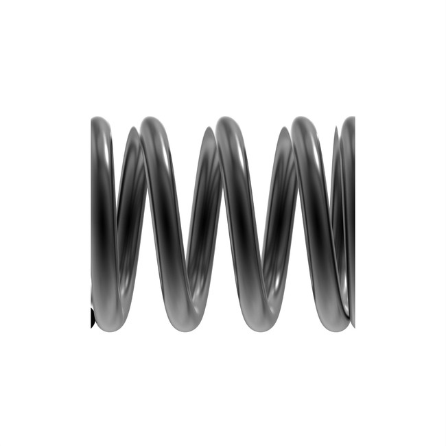 Squared And Ground Ends Compression Spring #N131738