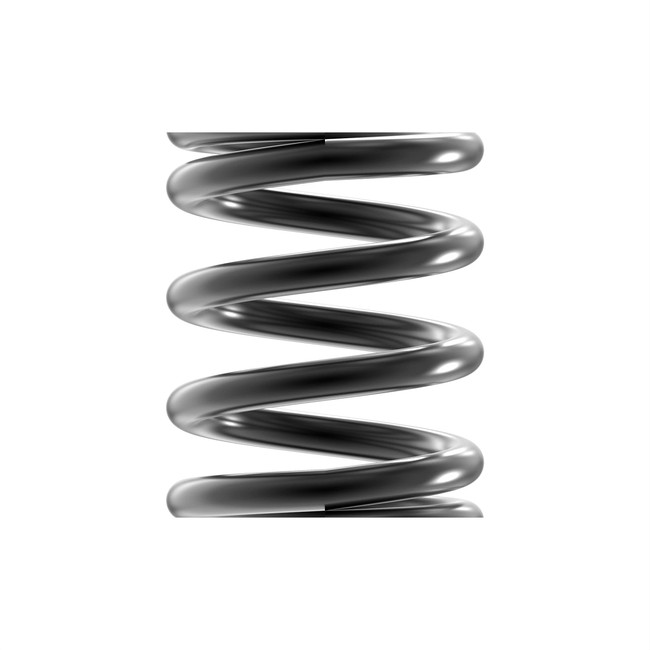 Squared And Ground Ends Compression Spring #N131738