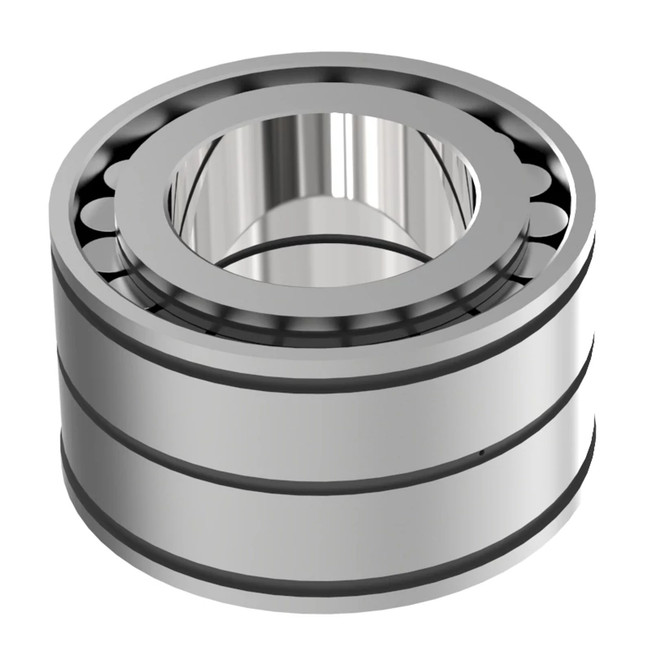 Double Row Cylindrical Roller Bearing #AZ101255