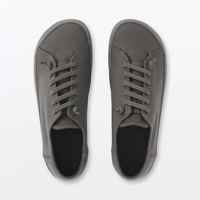 Grigio