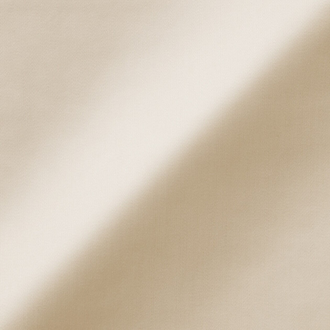 Avorio