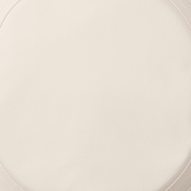 Avorio
