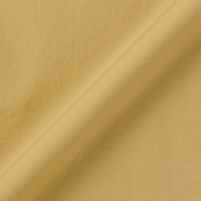 Cammello