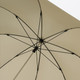 Beige Scuro