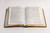 The Mission Study Bible with EGW Commentary (Chestnut Cover)