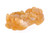 Jade Lion Good Luck Charm 52001584 | Shin Brothers*