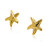 14K Yellow Gold Starfish Stud Earrings 40002388 | Shin Brothers*