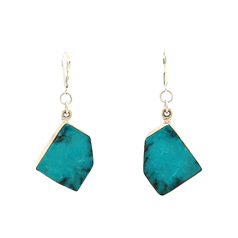 Sterling Silver Hanging Turquoise Earrings 84010988 | Shin Brothers*