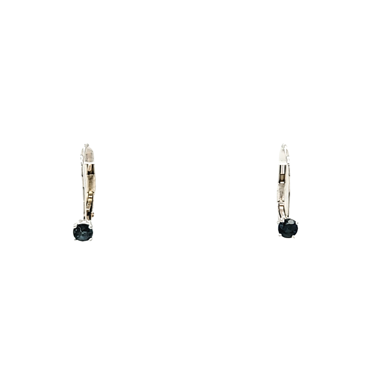 14K White Gold Blue Topaz Lever Back Earrings 42003057 | Shin Brothers*