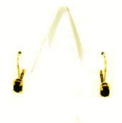 14K Yellow Gold Blue Sapphire Earrings42000872 | Shin Brothers