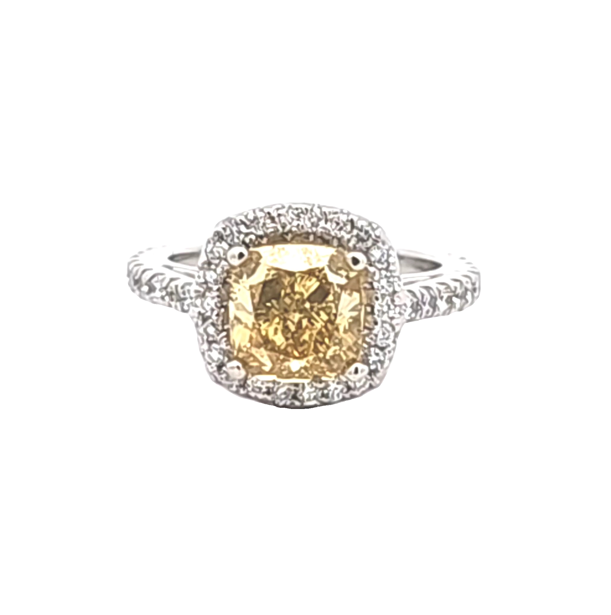 14k White Gold 2.51-ct Lab Grown Yellow Diamond 4 Prong Engagement Ring  11005288    | Shin Brothers